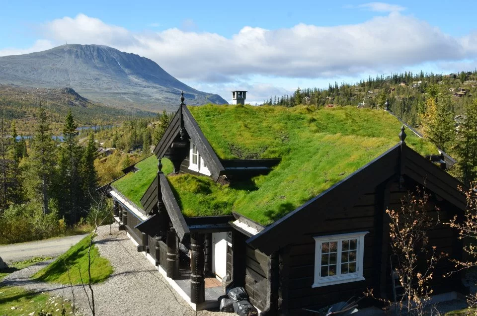 Svart hytte med torvtak omgitt av skog og fjell.